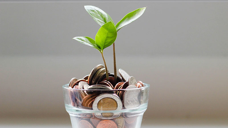 A small plant growing out of a pot of coins